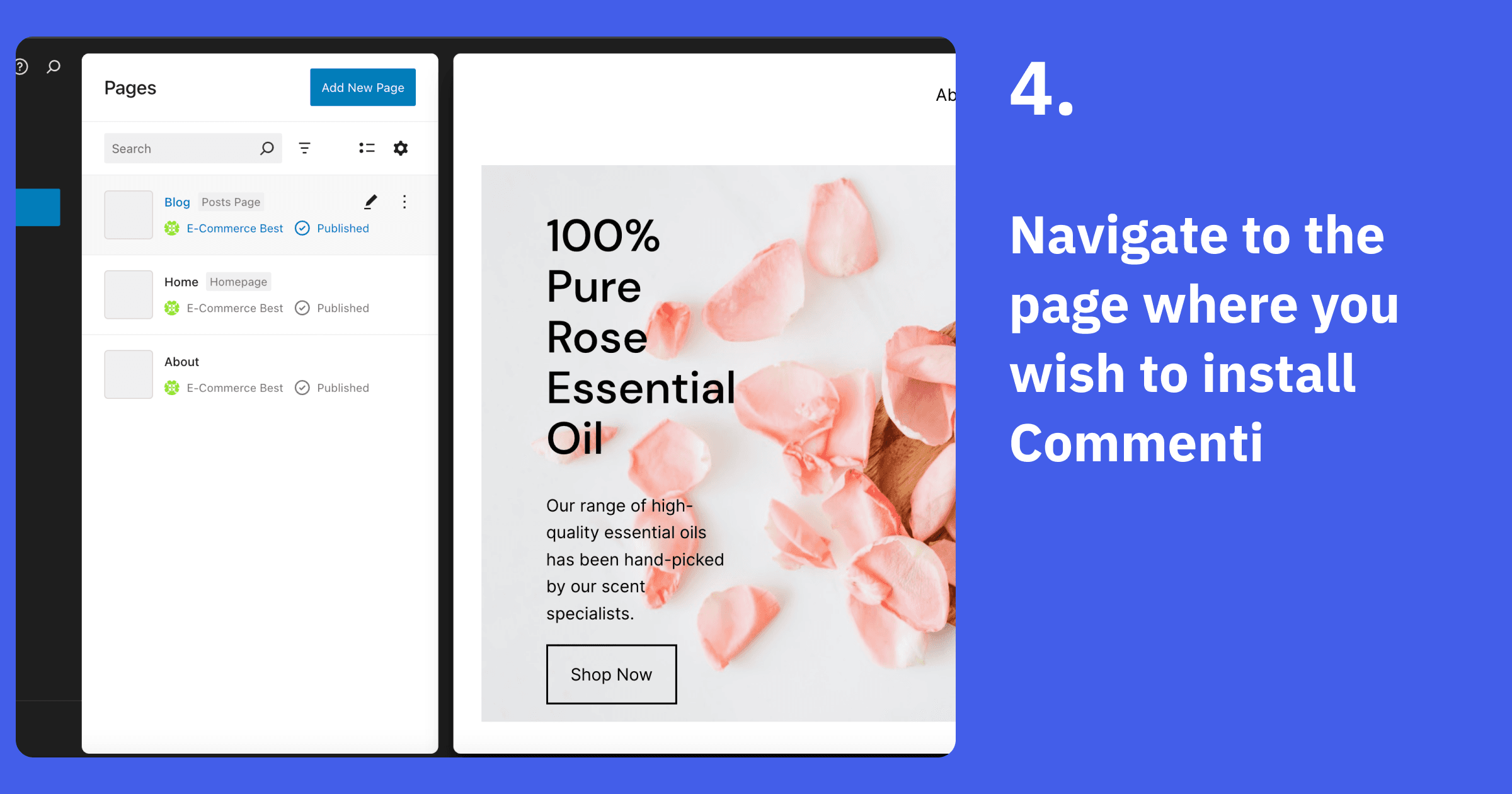 Navigate to the page where you wish to install Commenti